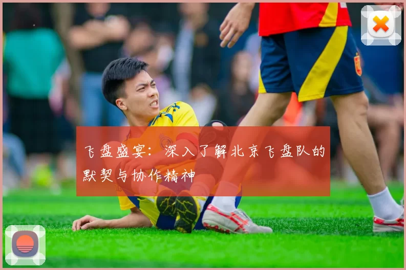 飞盘盛宴：深入了解北京飞盘队的默契与协作精神