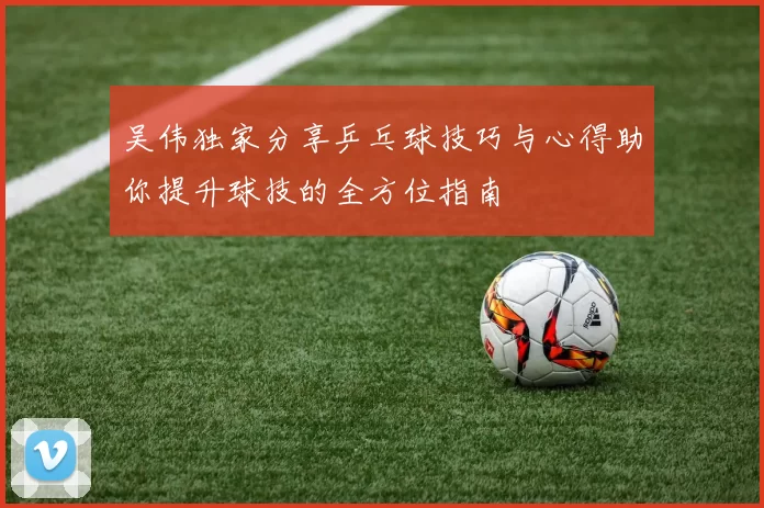 吴伟独家分享乒乓球技巧与心得助你提升球技的全方位指南