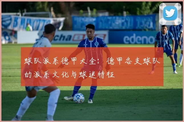 球队派系德甲大全：德甲各支球队的派系文化与球迷特征