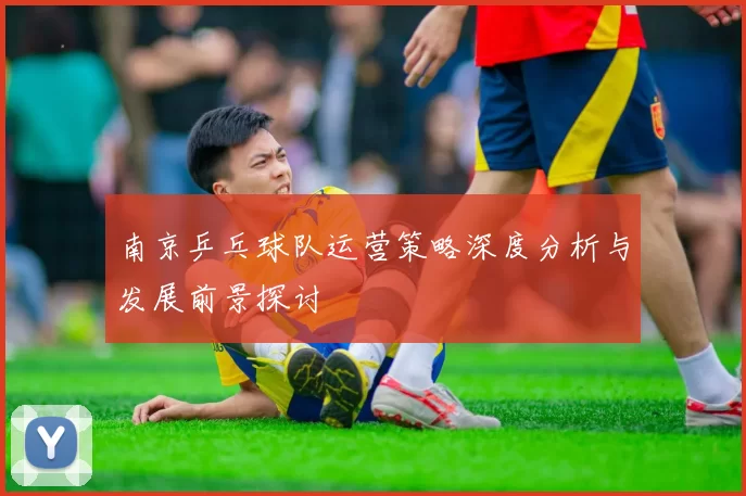 南京乒乓球队运营策略深度分析与发展前景探讨