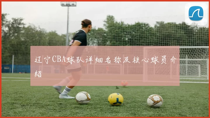 辽宁CBA球队详细名称及核心球员介绍