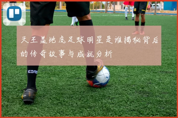 天王盖地虎足球明星是谁揭秘背后的传奇故事与成就分析