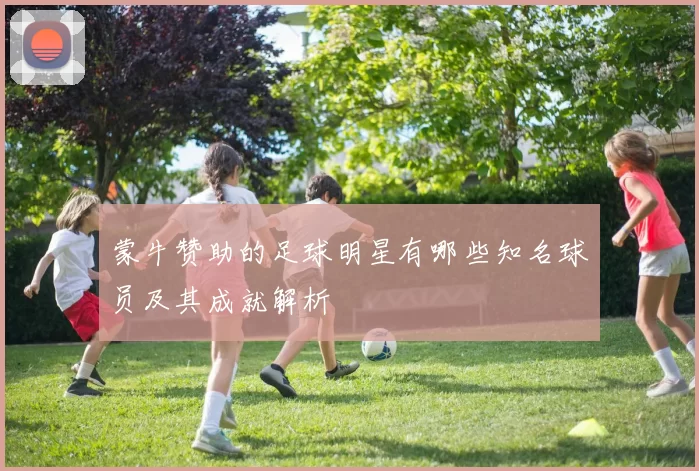 蒙牛赞助的足球明星有哪些知名球员及其成就解析