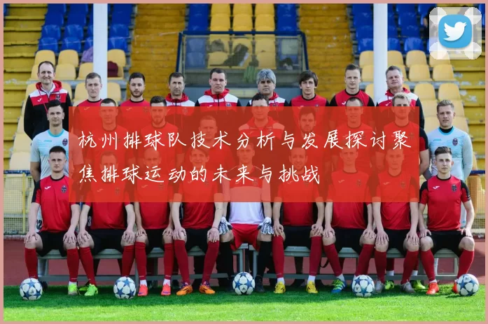 杭州排球队技术分析与发展探讨聚焦排球运动的未来与挑战