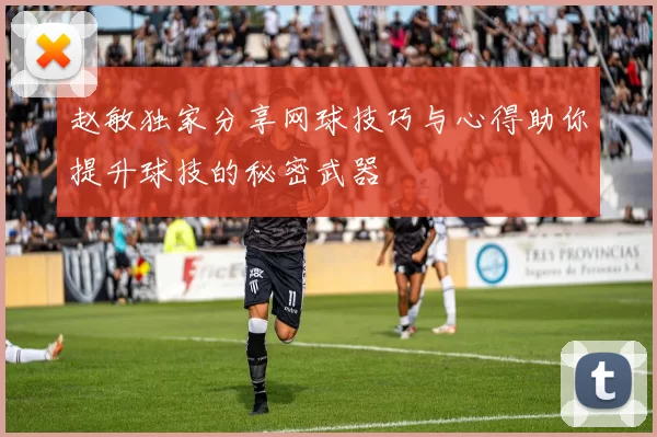 赵敏独家分享网球技巧与心得助你提升球技的秘密武器