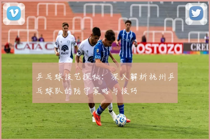 乒乓球技艺探秘：深入解析杭州乒乓球队的防守策略与技巧