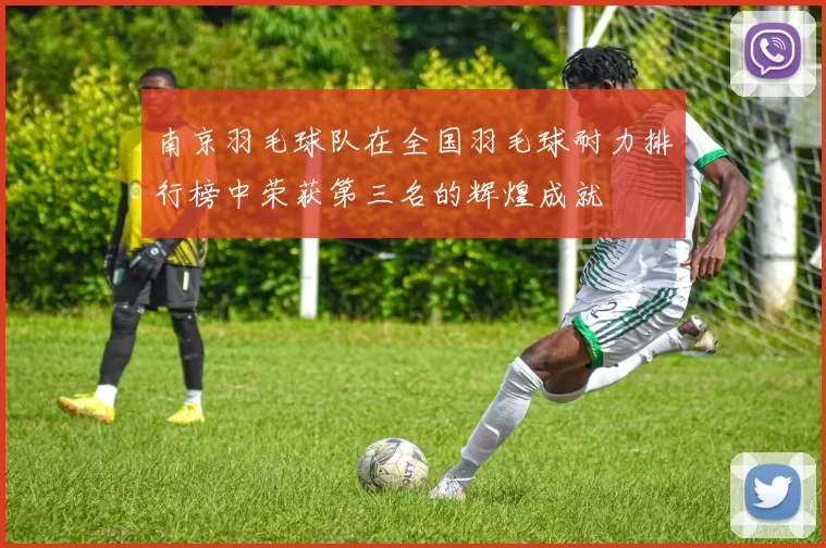 南京羽毛球队在全国羽毛球耐力排行榜中荣获第三名的辉煌成就