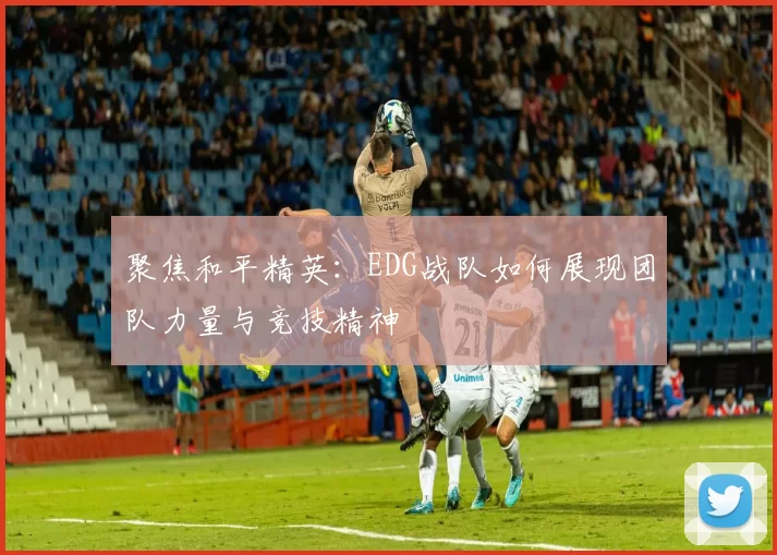 聚焦和平精英：EDG战队如何展现团队力量与竞技精神