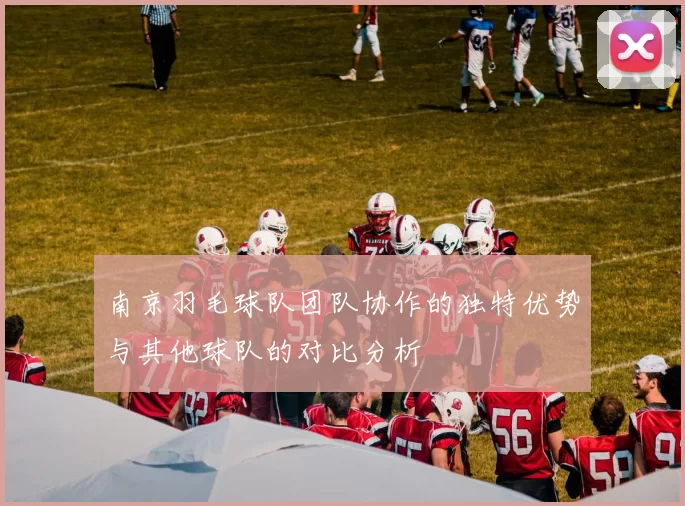 南京羽毛球队团队协作的独特优势与其他球队的对比分析